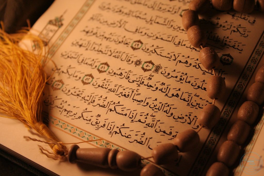 آيات وردت في فضل تلاوة القرآن الكريم